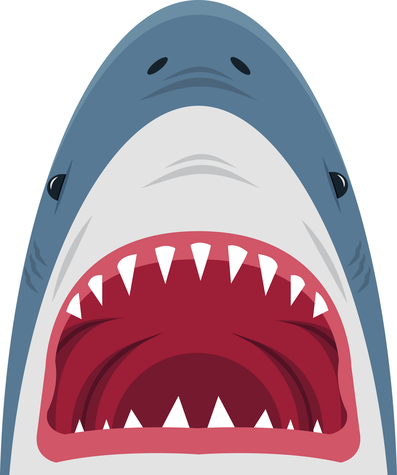 Shark  open mouth